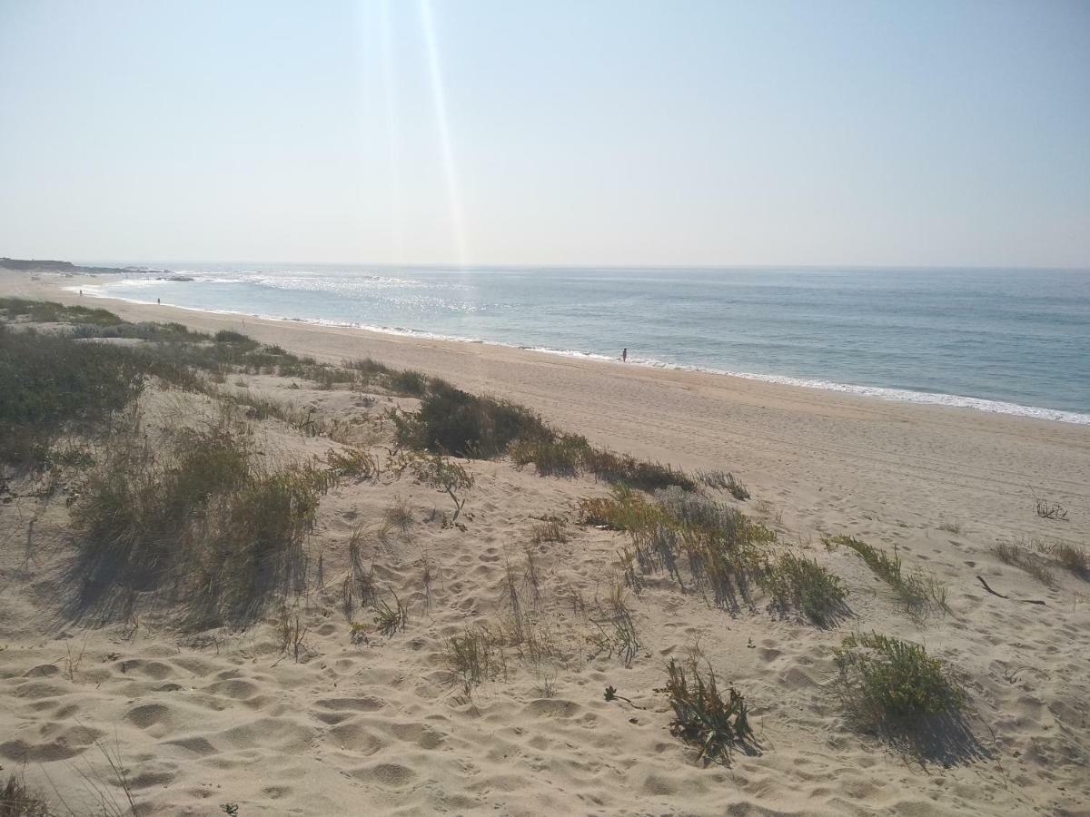Casas Do Pedro T1 Villa Vila Praia de Âncora Eksteriør billede
